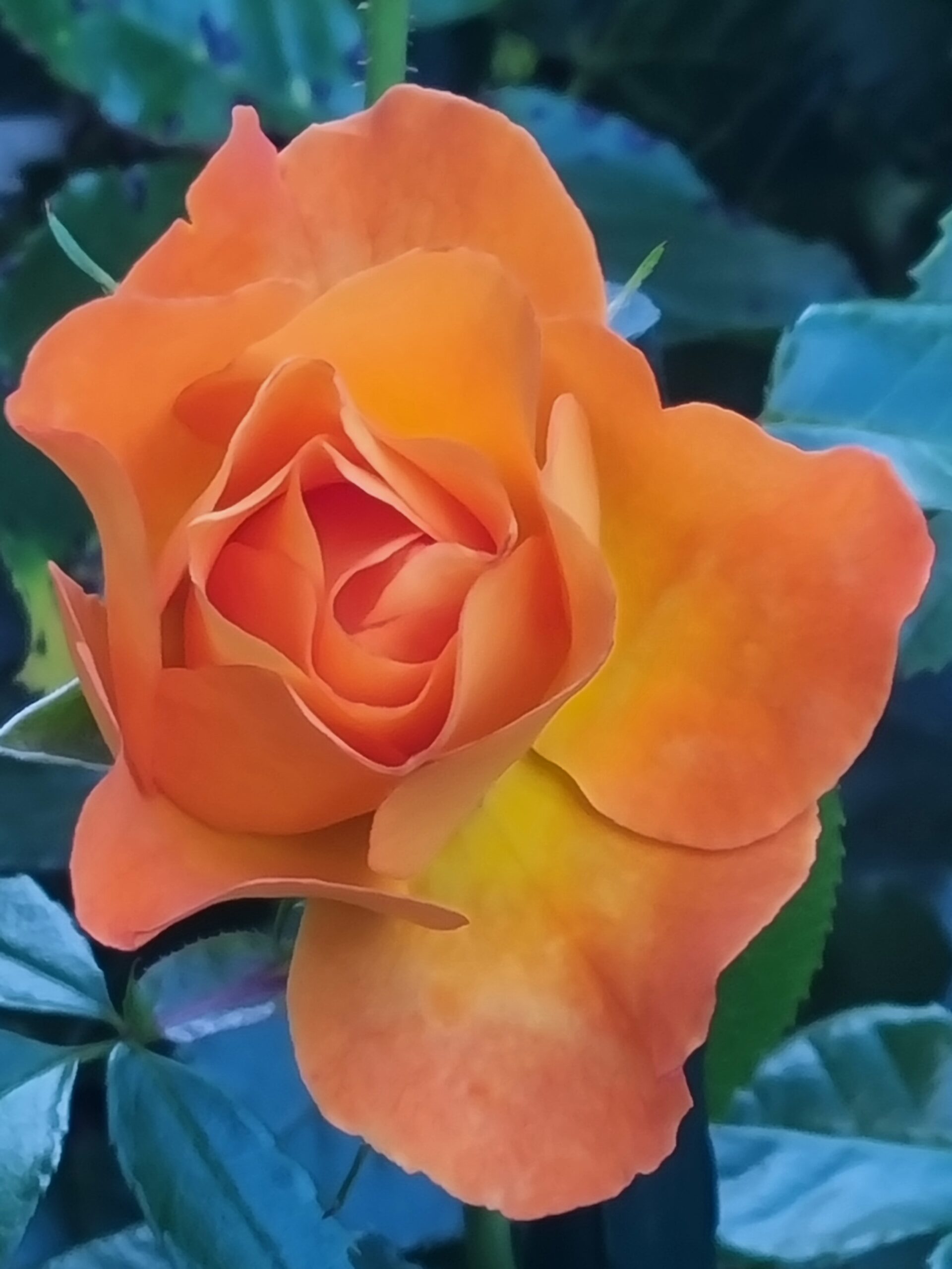 Homepage 20250901 074329