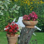 Homepage 20250914 170702