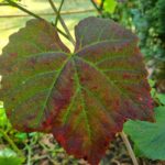 Homepage 20250919 155148