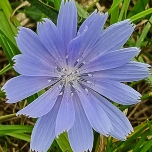 Homepage Cropped MyLogo Scaled 1